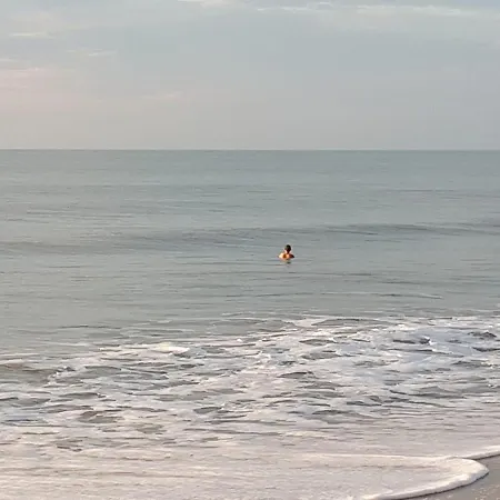 Maison Au Calme Sur Grand Terrain Avec Piscine Σπίτι διακοπών Saint-Vivien-de-Médoc