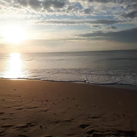 Maison Au Calme Sur Grand Terrain Avec Piscine Saint-Vivien-de-Médoc