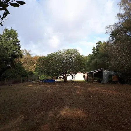 Maison Au Calme Sur Grand Terrain Avec Piscine Saint-Vivien-de-Médoc
